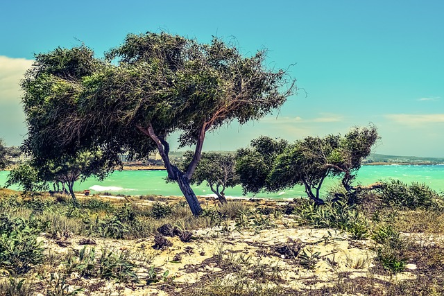 playa cassino brasil alojamiento