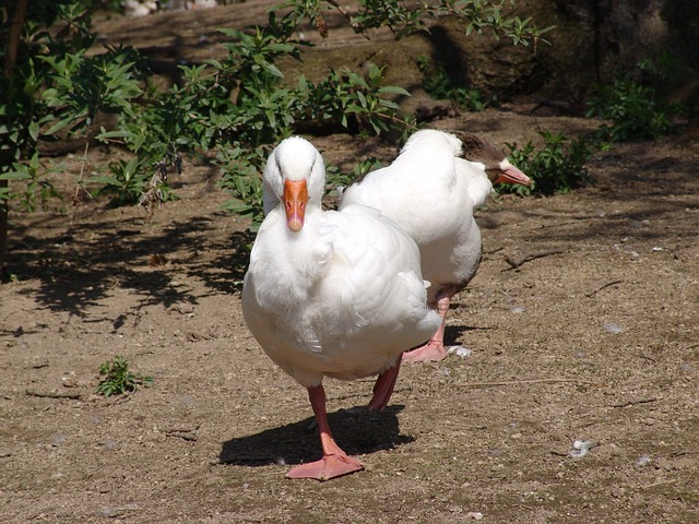 Foto do arquivo: fornecida por 【brjogos.vom】