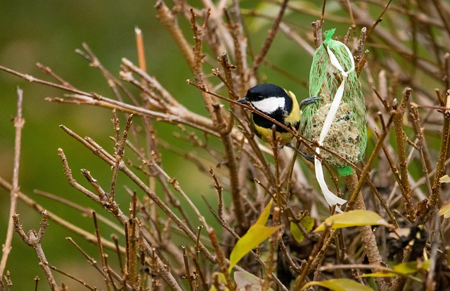 Foto do arquivo: fornecida por 【Jogos de ganho via Pix】