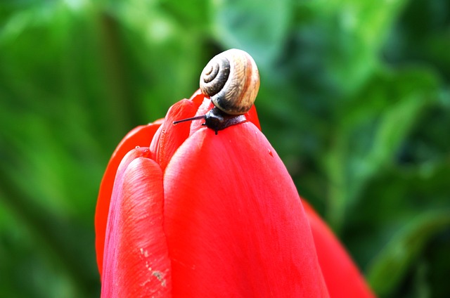 Plataforma de renda passiva