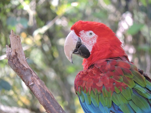 Foto do arquivo: fornecida por 【dice gabana】