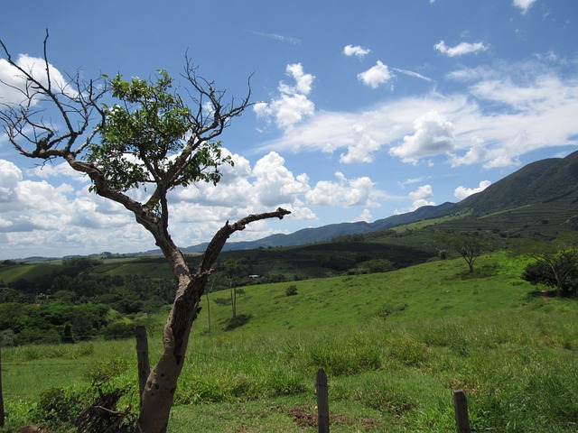 jogo de luta doido