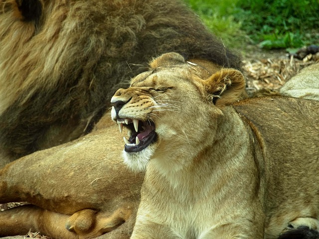 Foto do arquivo: fornecida por 【resultado federal jogo do bicho】