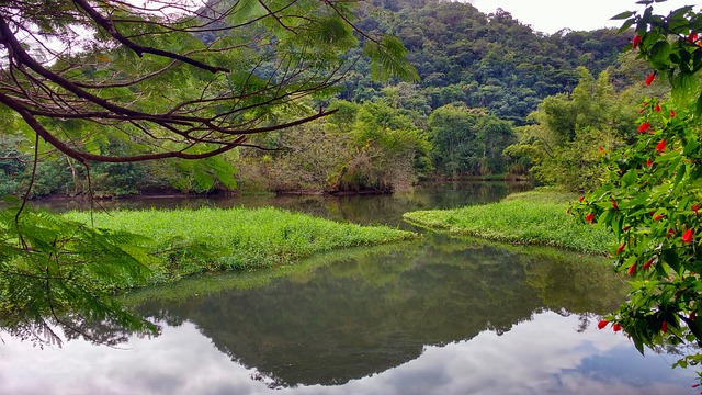 Foto do arquivo: fornecida por 【baixar jogo de cortar fruta】