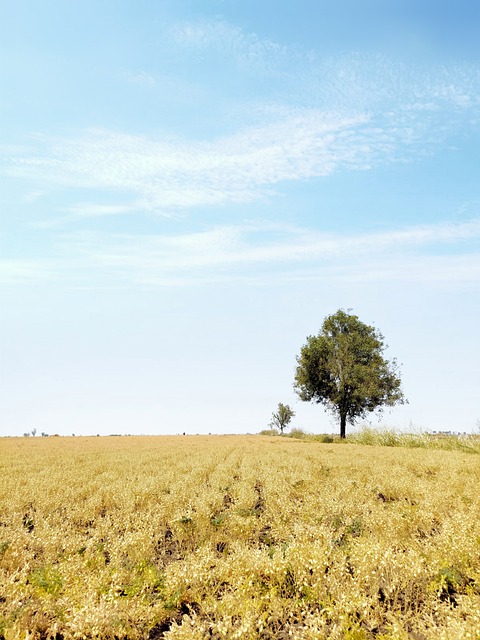 Foto do arquivo: fornecida por 【o que é a blaze】