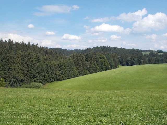 vôlei de praia