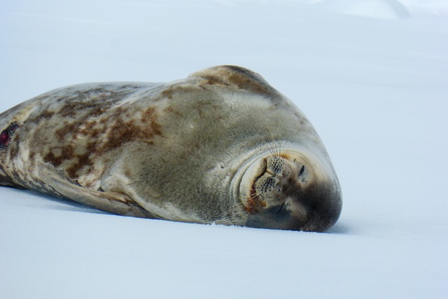 Foto do arquivo: fornecida por 【resultado da loteria federal concurso 5728】