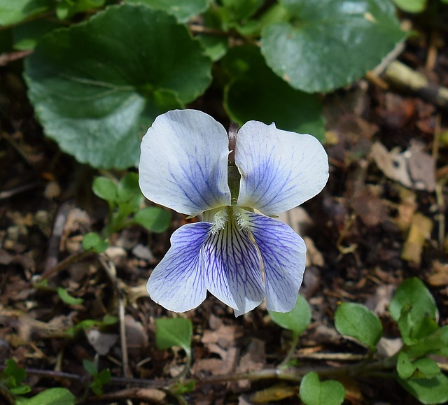 guarderia cassino