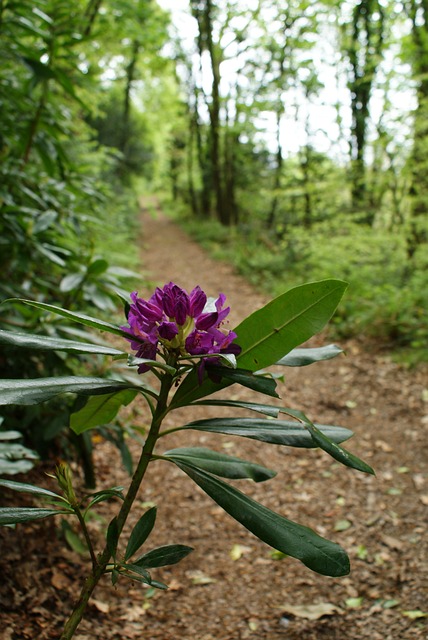 Foto do arquivo: fornecida por 【slotstoto】