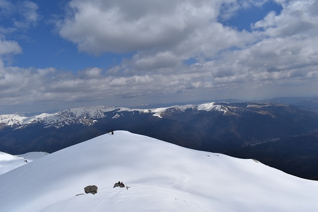 bônus cassino betano