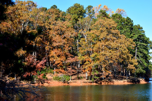 Foto do arquivo: fornecida por 【resultado da quina 4848】