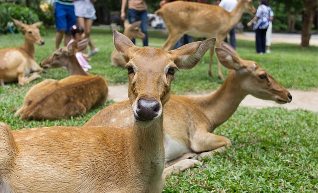 números que mais saíram na quina de são joão