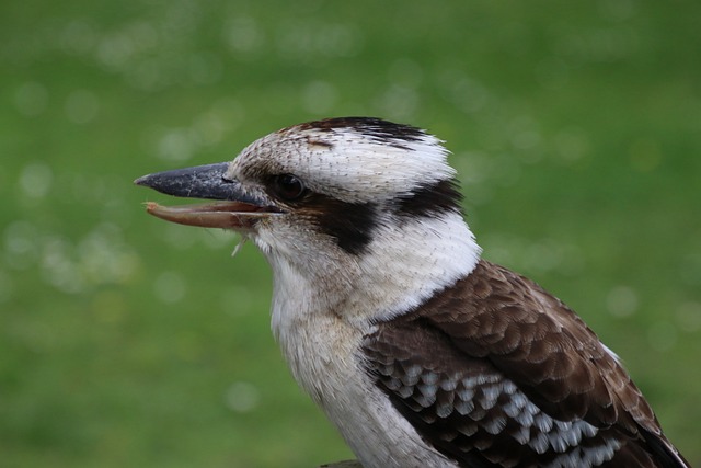 Foto do arquivo: fornecida por 【resultado da lotofácil de hoje no giga sena】