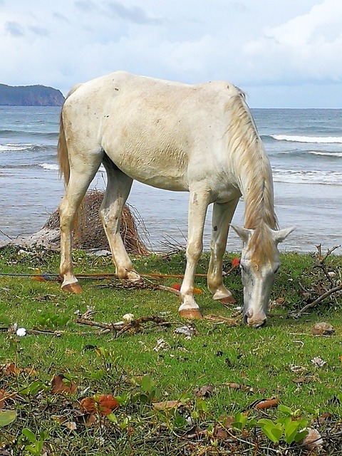 maneiras de mahjong