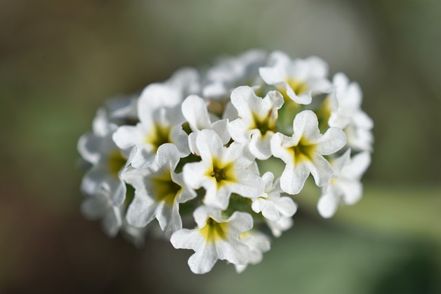 loteria italiana acumulada