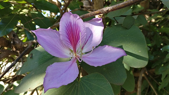 ccaixa loterias