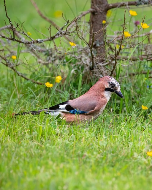 Foto do arquivo: fornecida por 【jogo de fazer comida de homem】