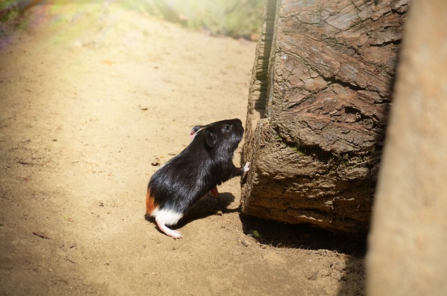 Foto do arquivo: fornecida por 【resultado do lotofácil lotofácil】