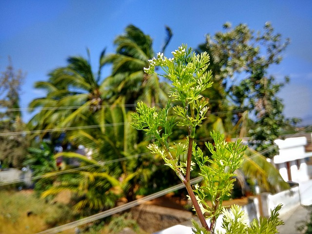 morada do sol cassino