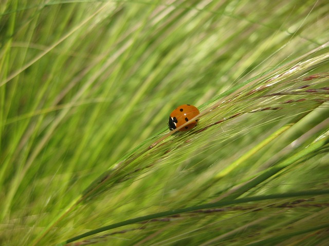 Foto do arquivo: fornecida por 【pjo slot】