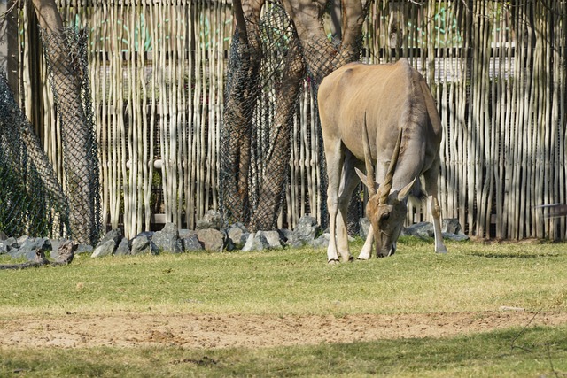 Foto do arquivo: fornecida por 【loteria federal super sete】