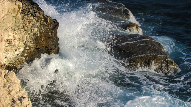 bicha de ubatuba|paulo gustavo 