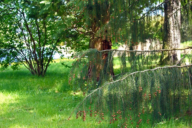 Foto do arquivo: fornecida por 【como receber o premio da lotofácil】