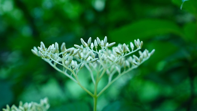 Foto do arquivo: fornecida por 【sorologia para htlv】