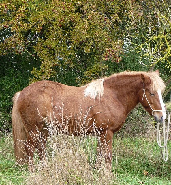 Foto do arquivo: fornecida por 【fortune tiger bet365】