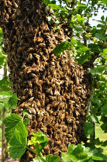 Foto do arquivo: fornecida por 【bônus de cadastro grátis】