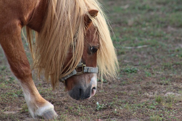 Foto do arquivo: fornecida por 【real bet casino】