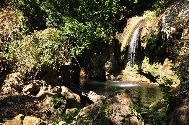 fotos da praia do cassino no rio grande do sul