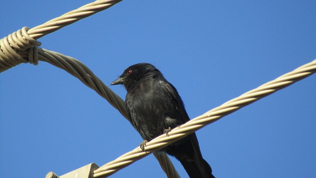 Foto do arquivo: fornecida por 【Bônus de boas-vindas sem necessidade de depósito】