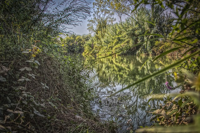 Plataforma rápida de pagamentos Tigre