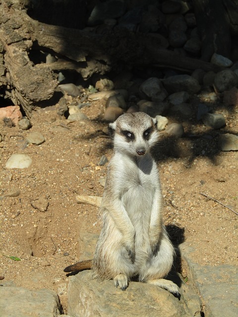 Foto do arquivo: fornecida por 【slot】