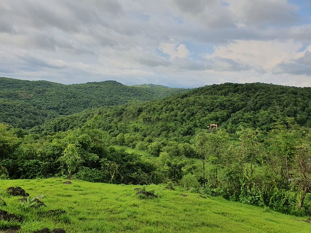 cassino do chacrinha viva