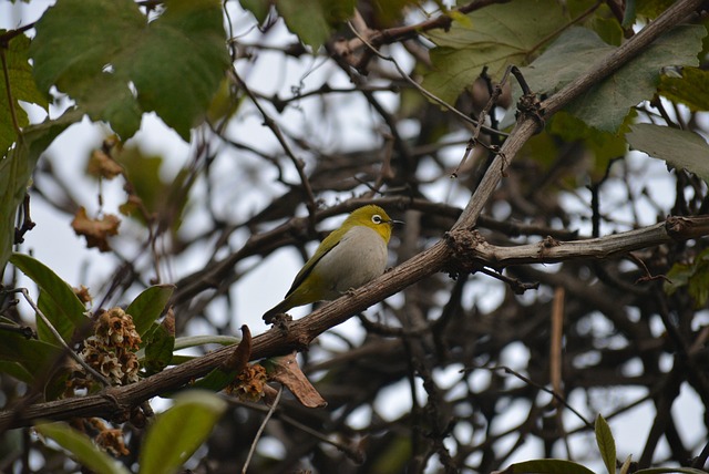 Foto do arquivo: fornecida por 【bspin】