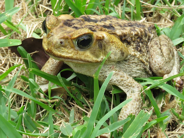 Foto do arquivo: fornecida por 【blaze aposta cadastro】