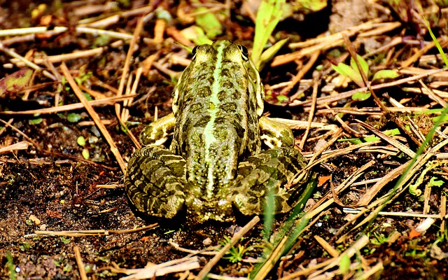 Foto do arquivo: fornecida por 【lambe slot】