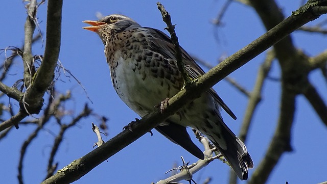 Foto do arquivo: fornecida por 【Bônus de dinheiro grátis no cadastro sem depósito】