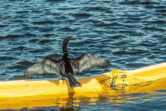 Foto do arquivo: fornecida por 【slotzo】