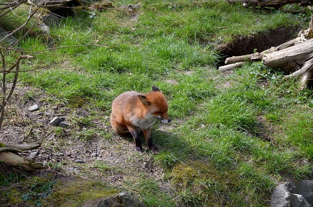 Foto do arquivo: fornecida por 【5 dice ojogos】