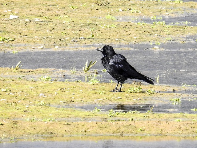 Foto do arquivo: fornecida por 【mega sena concorre hoje】