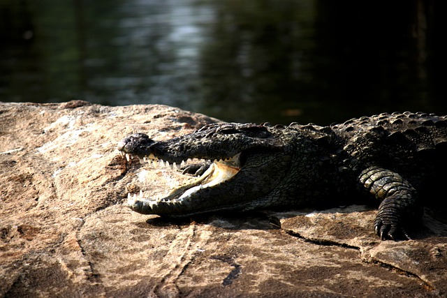 Foto do arquivo: fornecida por 【confiraloterias】