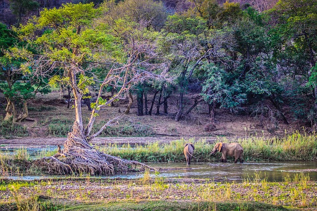 Foto do arquivo: fornecida por 【doenca no sangue】