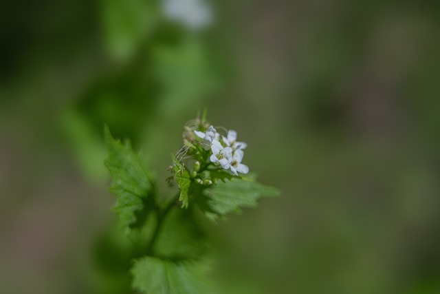 Foto do arquivo: fornecida por 【resultado ďa quina】