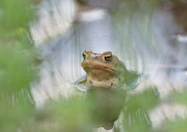 Foto do arquivo: fornecida por 【Resultado de ontem da Lotofácil】