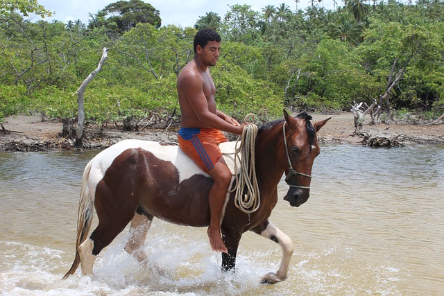 jogo de bonequinho de futebol