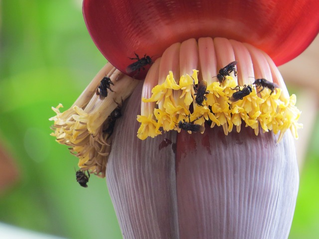 Foto do arquivo: fornecida por 【resultado da loteria dos sonhos das 14 horas de hoje】