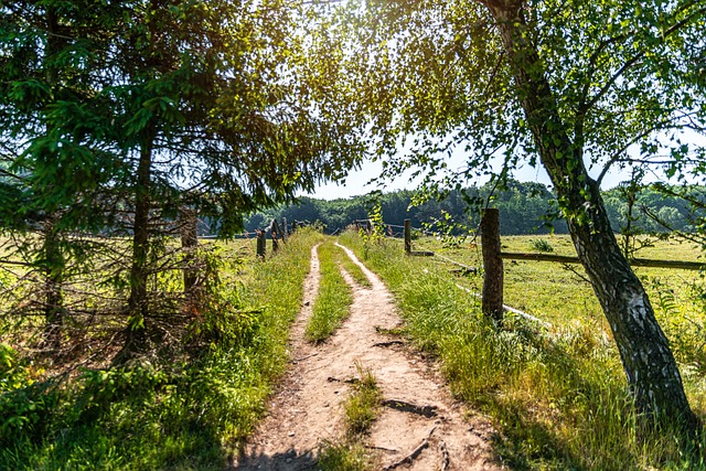 Foto do arquivo: fornecida por 【bet7k app】